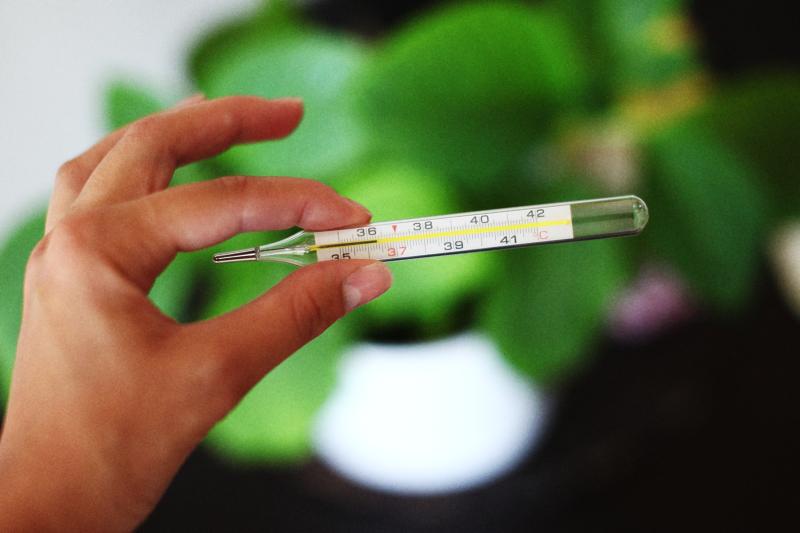 Разбираемся в видах термометров: преимущества, недостатки и выбор лучшего варианта